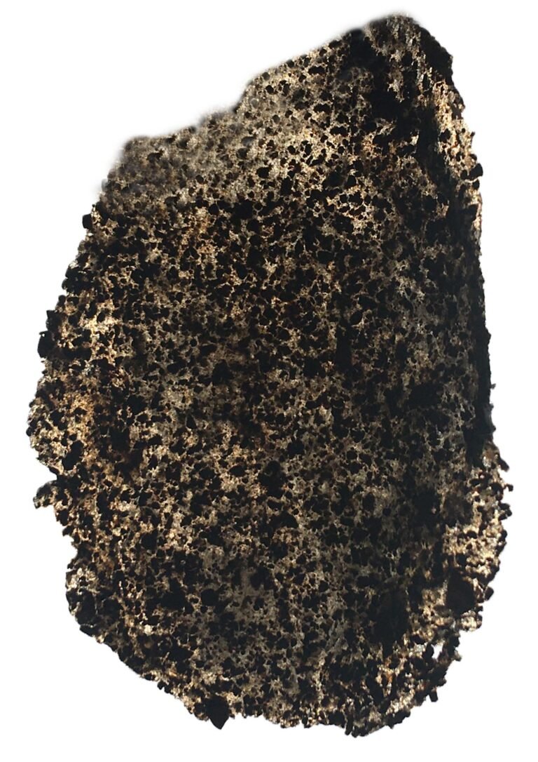 Coffee Bioplastic